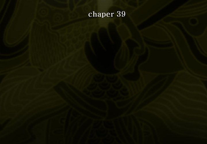 第 39 章